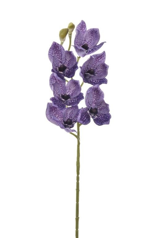 CYMBIDIUM - STORCZYK 69CM LEV016 ULTRA VIOLET