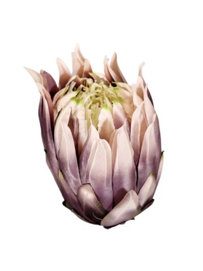 PROTEA – KARCZOCH GŁOWA 9CM IRA37 GRAY VIOLET