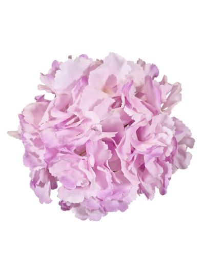 HORTENSJA GŁOWA 16CM IRW LT PINK VIOLET