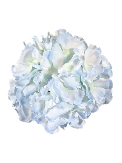 HORTENSJA GŁOWA 16CM IRW SKY LT BLUE