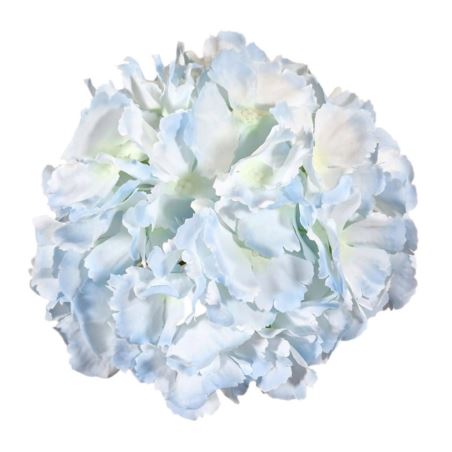 HORTENSJA GŁOWA 16CM IRW SKY LT BLUE