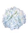 HORTENSJA GŁOWA 16CM IRW SKY LT BLUE