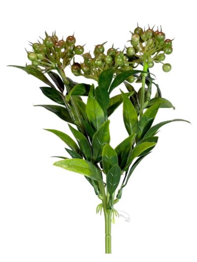 BORWINA Z OWOCAMI 40CM CV35949 GREEN BROWN