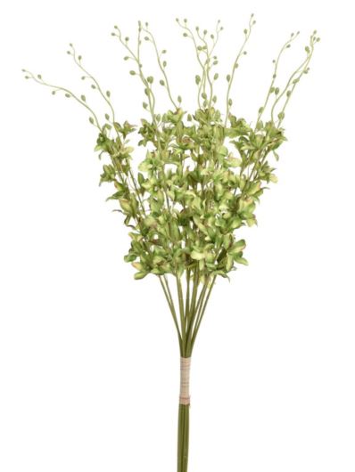 STORCZYK TAJLANDZKI 70CM SUN668 GREEN BURN COFFE