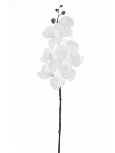 STORCZYK PHALENOPSIS 87CM PAT009 RT WHITE