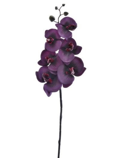 STORCZYK PHALENOPSIS 87CM PAT009 RT DR PURPLE