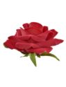RÓŻA GŁOWA VELVET 10CM ERA1041 RUBIN