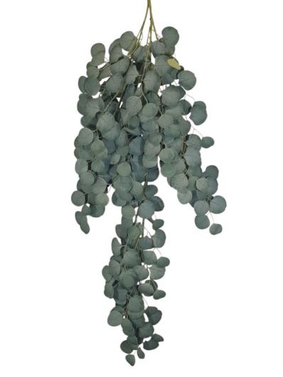 EUKALIPTUS ZWIS DUŻY 120CM IRL17  POWDER GREEN