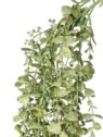 EUKALIPTUS - KULECZKI ZWIS 100CM LT POWDER GREEN