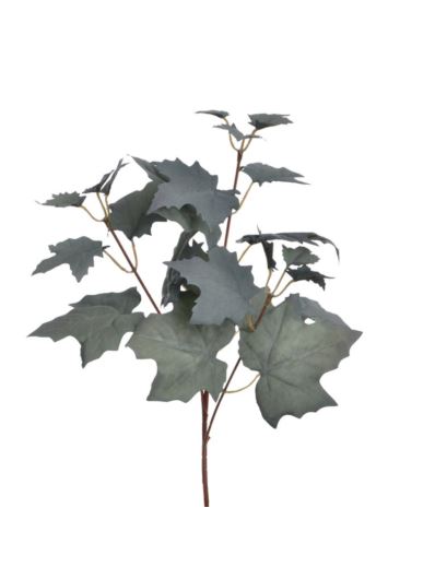 KLON NA PIKU 65CM LIU531 POWDER GREEN