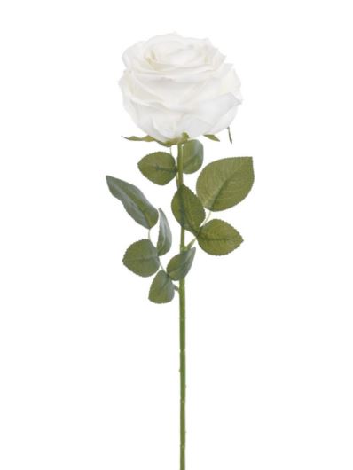 RÓŻA POJEDYNCZA 69CM TAJ1016 RT WHITE