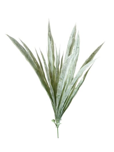 DRACENA – TRAWA BUKUET 52CM POWDER GREEN