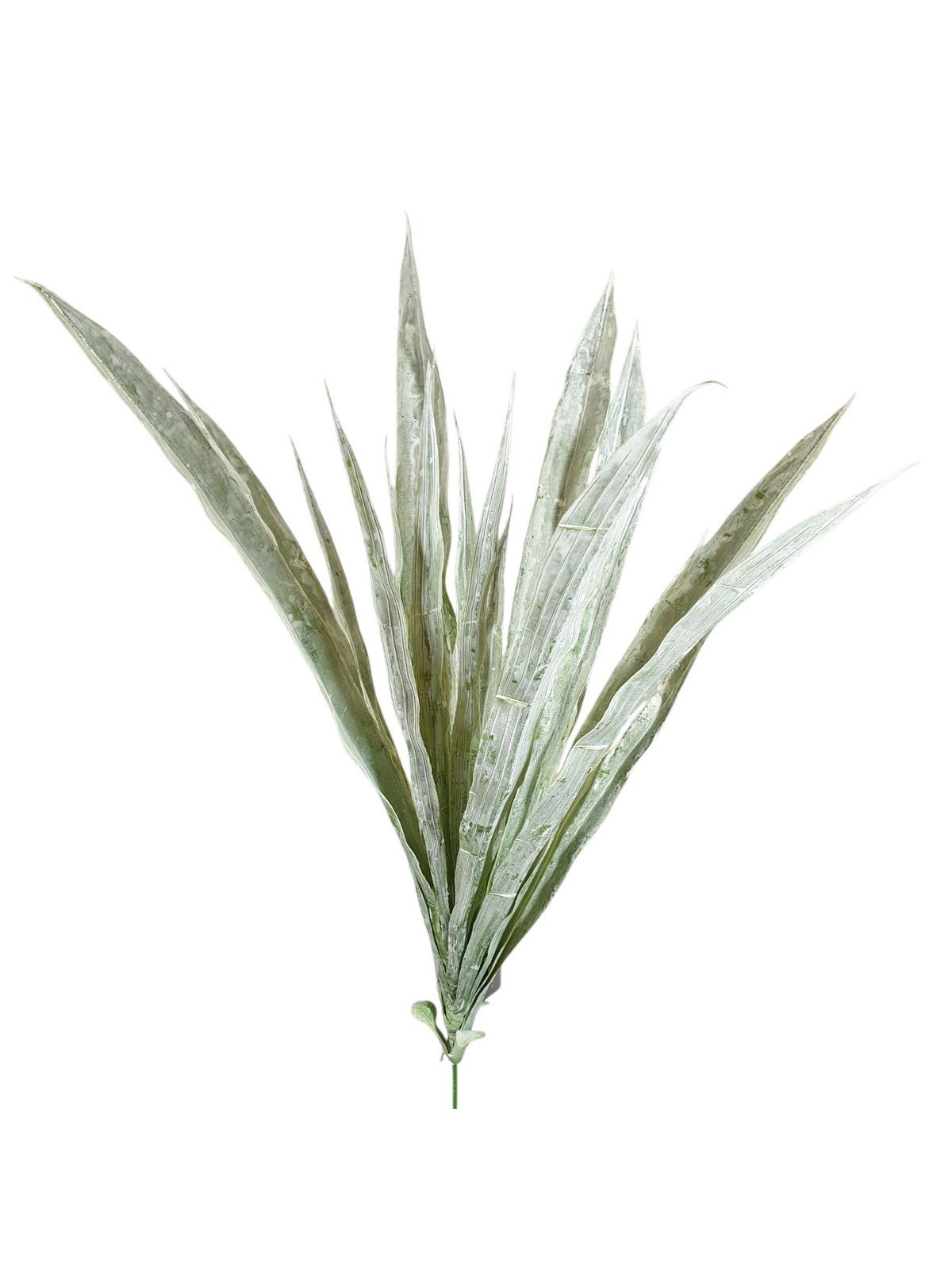 DRACENA – TRAWA BUKUET 52CM POWDER GREEN