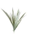 DRACENA – TRAWA BUKUET 52CM POWDER GREEN