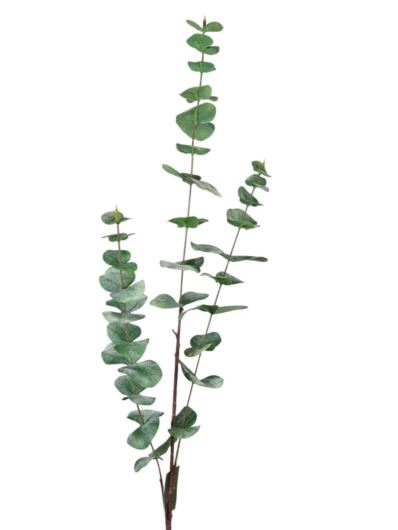 EUKALIPTUS GAŁĄZKA 100CM CV37596 POWDER GREEN