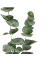 EUKALIPTUS GAŁĄZKA 100CM CV37596 POWDER GREEN