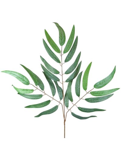 EUKALIPTUS NICOLI GAŁĄZKA LIŚCI 66CM GREEN