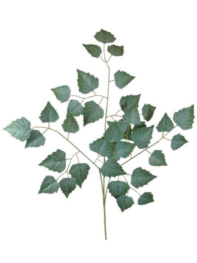 BRZOZA GAŁĄZKA LIŚĆ 60CM POWDER GREEN