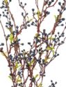 SALIX ARGYRACEA GAŁĄZKA 90CM CV35937 DK BLUE