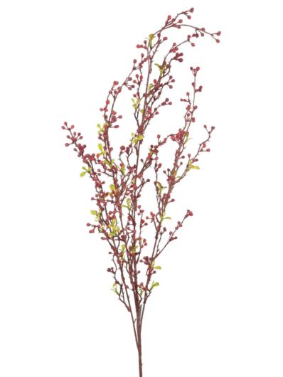 SALIX ARGYRACEA GAŁĄZKA 90CM CV35937 BURGUNDY