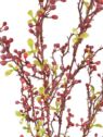 SALIX ARGYRACEA GAŁĄZKA 90CM CV35937 BURGUNDY