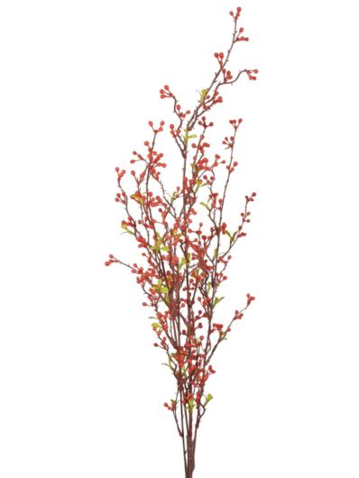 SALIX ARGYRACEA GAŁĄZKA 90CM CV35937 RED