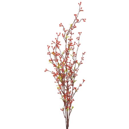 SALIX ARGYRACEA GAŁĄZKA 90CM CV35937 RED
