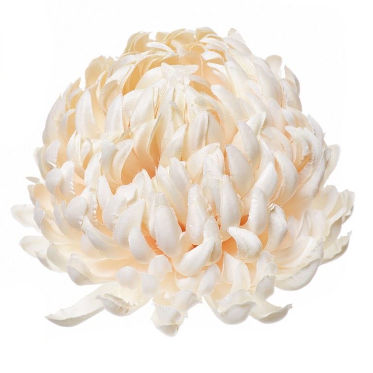 Chryzantema głowa 15cm ART037 new vanilla