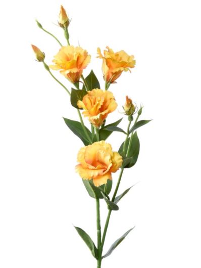 EUSTOMA GAŁĄZKA 83CM SUN345 GOLD