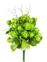CHMIEL BABY HOP PIK 28CM /9922 GREEN