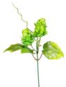 CHMIEL BABY HOP PIK 28CM /9922 GREEN