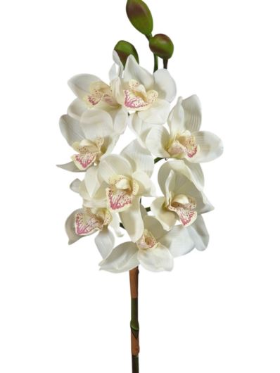 CYMBIDIUM 78CM 8 KWIATÓW NATURAL TOUCH CREAM