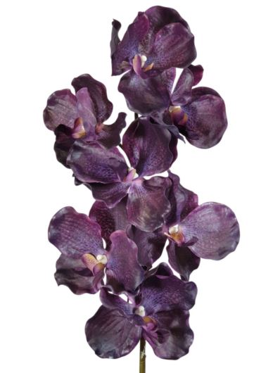 STORCZYK VANDA 80CM 7 KWIATÓW RT DK DEEP PURPLE