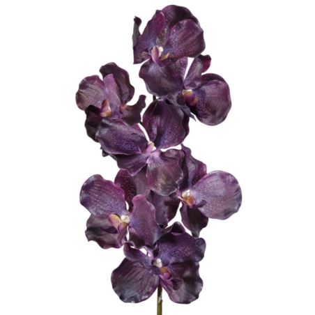 STORCZYK VANDA 80CM 7 KWIATÓW RT DK DEEP PURPLE