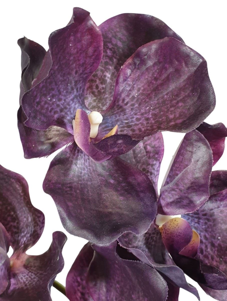 STORCZYK VANDA 80CM 7 KWIATÓW RT DK DEEP PURPLE