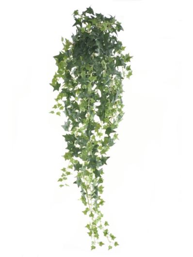 BLUSZCZ HEDERY ZWIS 90CM BL090 GREEN