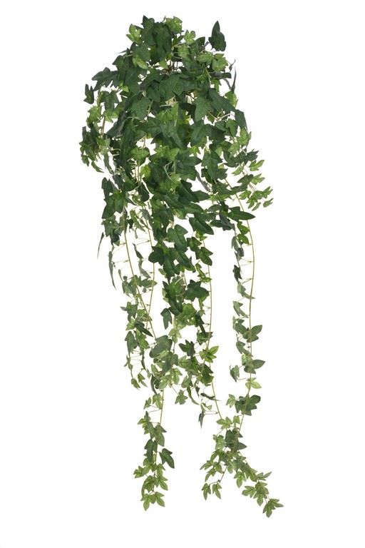 BLUSZCZ HEDERA 90CM  BL091 GREEN