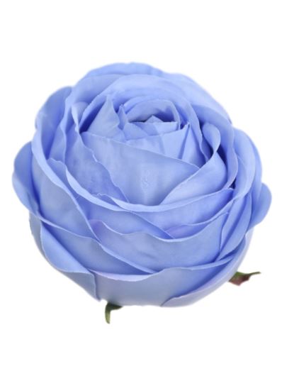 RÓŻA POPPY GŁOWA 9CM SUN564 POWDER BLUE