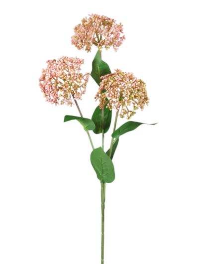 KALINA WONNA PĄCZKI 64CM PINK GREEN