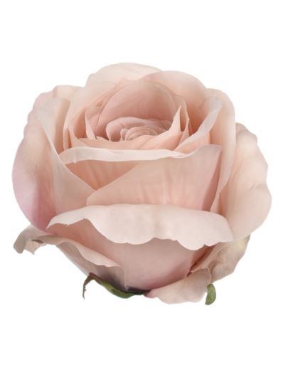 RÓŻA GŁOWA 8CM SUN388 HAZELNUT