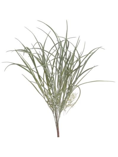 DRACENA - TRAWKA BUKIET 50CM POWDER GREEN