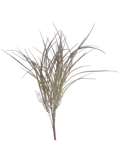 DRACENA - TRAWKA BUKIET 50CM POWDER GREEN VIOLET