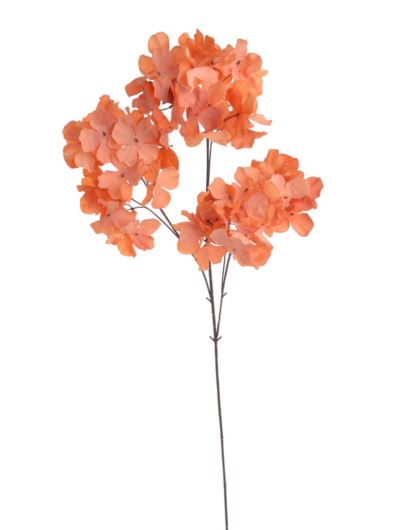 HORTENSJA JESIENNA GAŁĄZKA 84CM OLD SALMON ORANGE