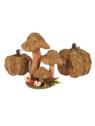 DYNIA LISTKI SUSZ 17CM BROWN
