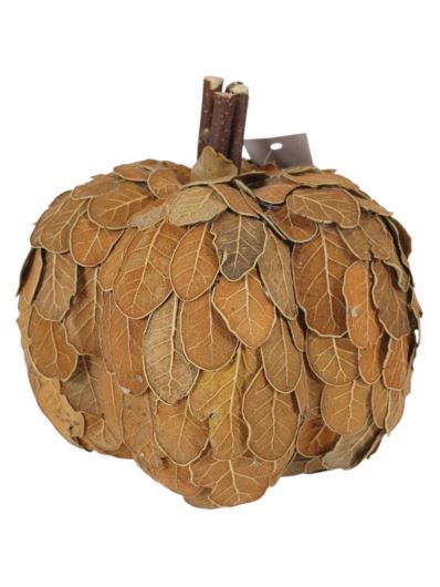 DYNIA LISTKI SUSZ 17CM BROWN