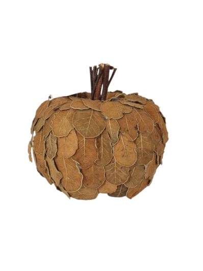 DYNIA LISTKI SUSZ 14CM BROWN