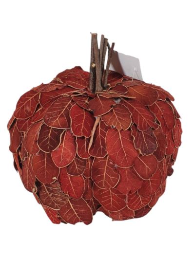 DYNIA LISTKI SUSZ 17CM BORDO