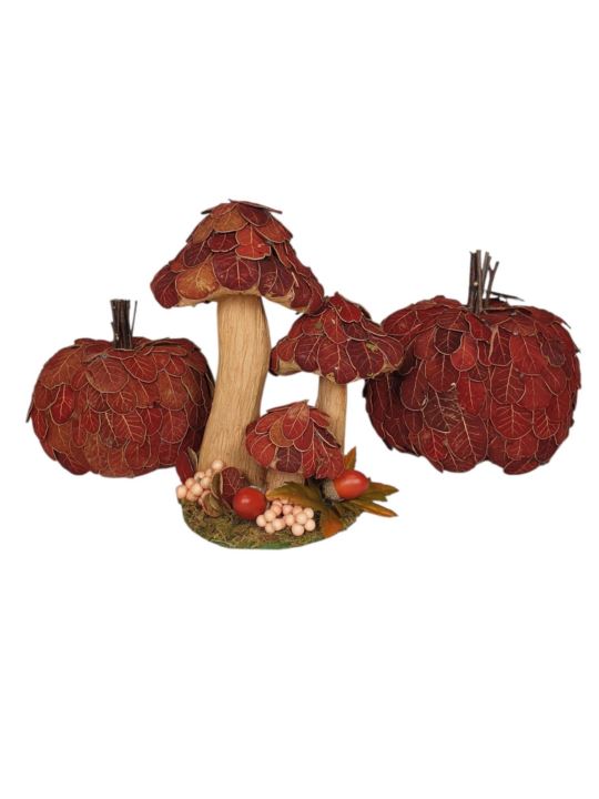 DYNIA LISTKI SUSZ 17CM BORDO