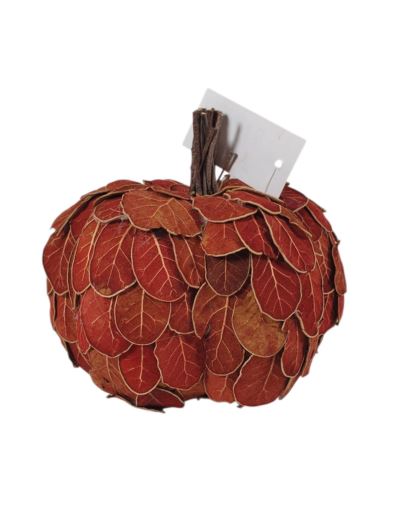 DYNIA LISTKI SUSZ 14CM BORDO