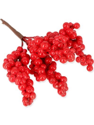 JESIENNE KULECZKI BERRIES PICK 15/ 4276 RED